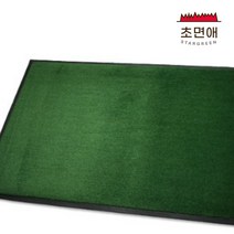 초면애 현관 에스앤SN 매트 먼지털이 수분제거, 그린, 1개