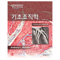범문에듀케이션 기초조직학-제15판 +미니수첩제공, AnthonyL.Mescher