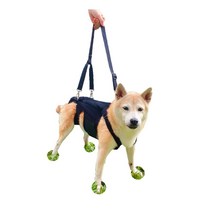 통기성 허리 고정 재활 강아지 척추 보조기 보호대, 블랙, XXXL 뒤 길이 53-59cm