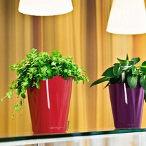 마이플랜트 레츄자 미니 델티니 플라스틱 저면관수 화분, 그레이(무광)