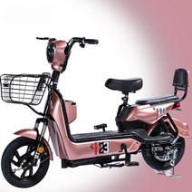 유로무역 자토바이 전동 자전거 전기 스쿠터 2023년 48V, 로즈 48V 20A 리튬 배터리