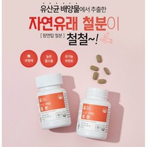 하루 한번 한알 일일권장량 2배 24mg 자연유래 철분 60정 2개월분