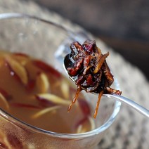 배도라지 생강 대추청 380g, 1개