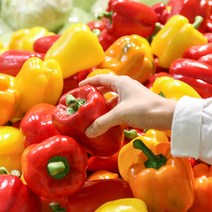 국내산 파프리카 빨강 노랑 혼합 못난이 가정용 특품 1kg 3kg 5kg, (빨강+노랑파프리카)1kg, 1개