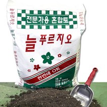 가재울마켓 전문가용 대용량 분갈이 바가지삽세트 흙 스텐삽 다용도삽 늘푸르지오 45-9-4056546ea, gajae760 본상품선택