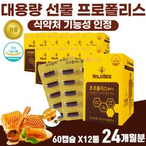 80대 노인 면역에 좋은 아연 영양제 호주 프로폴리스 구강 항균 임플란트 케어 플라보노이드 식약처 인정 간절기 목 칼칼할때 추천 항산화 프로폴리스 60대 면역영양제 종근당 프로폴리