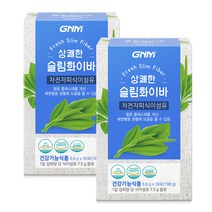 GNM자연의품격 상쾌한 슬림화이바 차전자피 식이섬유, 198g, 2개