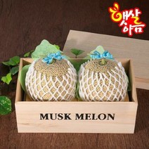 다온푸드 [햇살아름]머스크메론 오동 실속선물세트 (3kg이상/2개), 단품없음