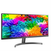 LG전자 73cm WFHD 울트라와이드 모니터, 29WK500