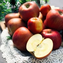 영주 풍기 사과 꿀 부사4kg/8kg 꿀500g 숲과숲사이, 사과 8kg+꿀 500g