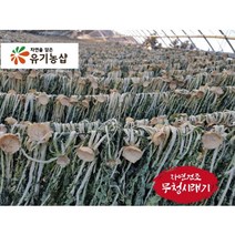 유기농 무청 건시래기 국내산 500g, 1개