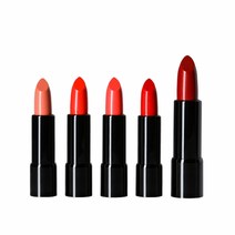 커버나인 컬러 인 마그네핏 글로시 립스틱 05 번트 루비, 단품, 단품
