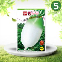 솔림텃밭몰 김장무씨앗 2000립 청두무 가을무 저장용무 무씨앗, 1개