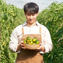 대저 농협 인증 짭짤이 토마토 로얄과, 짭짤이 로얄 S~2S 5kg