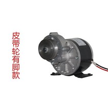 전기자전거키트 배달전기자전거 전기자전거키트풀세트 체인 전기펫바이크12v 24v 250w brushed permanent magnet dc 기어 모터 my1016z bike, 24v 250w 비스타일