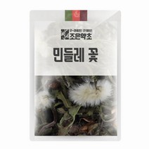 굿허브 민들레 꽃(포공영) 200g, 단품