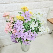 로즈제라늄다발, 핑크