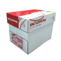 스펙트라 색지 A4 80g 복사용지 1BOX 2500매, 쿠팡하울 A4 분홍