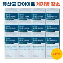 벨기에 유산균 다이어트 트리플러스 체지방감소 가르시니아 분말 가루 스틱, 5.5g/14포, 12