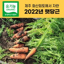 산지직송 제주 유기농 당근 흙당근 햇당근 3kg 5kg 10kg, 제주 유기농 당근 5kg(특상혼합)