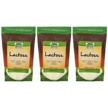 2+1 나우푸드 Lactose 락토스 락토오스 454g 코셔, 1개, 기본
