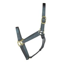 Hamilton 1 Nylon Quality Horse Halter 검정 스테인리스 스틸, Average 800-1100 Pounds, Graphite
