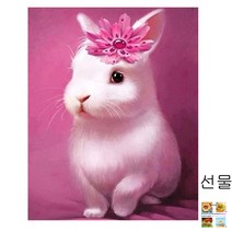 Pinnedk 귀여운 토끼 꽃들 5D 보석십자수 DIY명화그리기 세트 큐빅십자수 비즈십자수 비즈자수 세트 + 선물, 50*80cm, MIX COLOUR