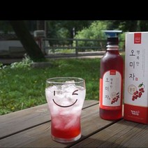 오미자청 문경오미자차 오미자즙 오미자주 500ml x 2, 쿠팡 1, 쿠팡 500ml x 2병 (선물용), 쿠팡 본상품선택