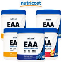 뉴트리코스트 EAA 파우더 30서빙 무맛 BCAA 필수 아미노산 영양제, 249g, 1개