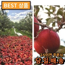 비엘팩토리 경북 의성 당도선별 세척사과 2kg 3kg, 3kg 꼬마, 1개