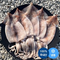 동해 국내산 손질오징어 5미 650g 750g 오징어 냉동오징어 손질, 국산 손질오징어 5미 (650~700g 내외)