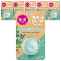 이오스 래스팅 하이드레이션 립 케어 7g, Sweet Mint, 6개