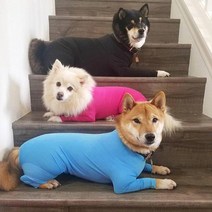 L 애견 중형견 대형견 올인원 실내복 내복 강아지 실내 시바견 리트리버 겨울옷 쫄쫄이 우주복 티셔츠, 진분홍
