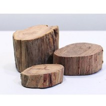 [피알피쉬]세틀 고급절단유목(Special 높이3.0 CM) 활착망 증정[바보사랑], 단일속성