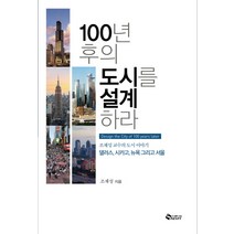 100년 후의 도시를 설계하라:조재성 교수의 도시 이야기댈러스 시카고 뉴욕 그리고 서울, 새빛, 조재성