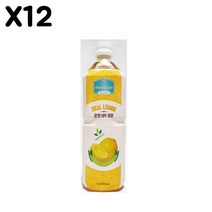 FK 로쏘189 레몬(파낙스 1L)X12음료수 음료 농축액 에이드 레몬쥬스 망고주스 블루베리 체리 석류 복분자, 본상품