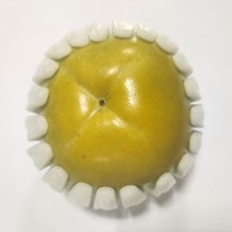 태추단감 배단감 가정용단감 정품단감, 1개, 5kg, 정품선물용소과(27~35과)