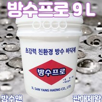 방수프로 9리터 페인트 무기질 방수제 DIY 방수액 방수페인트 베란다 외벽 실내, 18L, 1개