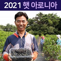 2021년 국내산 특품 아로니아 생과 블랙베리 꼭지제거 꼭지손질 급속 냉동 2.5kg 5kg 10kg, 4. 아로니아 꼭지제거 10kg