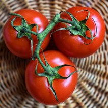 영양만점 완숙 찰 토마토 3kg 5kg 10kg, 1box, 06_소과 ( 4번 ) 5kg