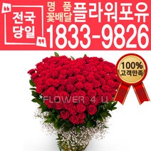 빨강장미100송이 꽃바구니 어버이날 스승의날 꽃다발 꽃배달 당일배송 백송이