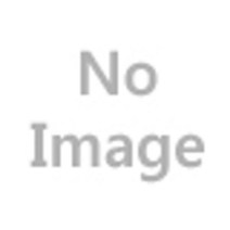 볶음 춘장 짜장 사자표 14K