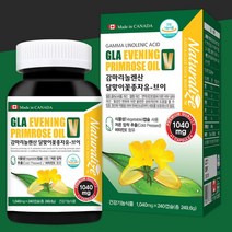 네추럴 달맞이꽃종자유 4개월분 브이 효능 감마리놀렌산 pms 영양제 생리전증후군 생리증후군, 240정, 4개
