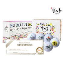 [더사다 기획상품] 캘리볼 골프공 + 제주왕복 항공권 호텔숙박권 렌트카 무료이용권, B세트 캘리볼 30박스 SET + 제주 5성급호텔숙박권