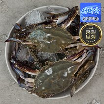[당일조업] 서해안 제철 활 꽃게 암꽃게 숫꽃게 햇꽃게 생물 냉동, 꽃게 4kg, 1개