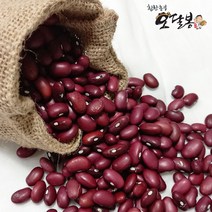 힘찬농부오달봉 수입산 밤콩 연밤콩 울타리콩 양대, 1개, 500g