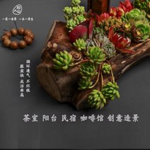 화초 대형 장식 창의 이형다육난목조 장방형 당인석곡 노목화분 원형경관 大, 01 네트 레드 에일리언 A 모델, 오류 발생시 문의 ( 건솔03 )