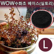 [비지떡] WOW 수화초 베이스 (실토리 와비쿠사) (대)[P], 1개