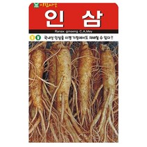 인삼 씨앗 (중포장) 100립, 1개