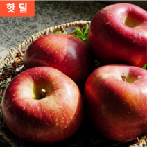 경북 영천 청송 고급 상품 햇사과 꿀부사 10kg 10키로 특대과 (25-28과)